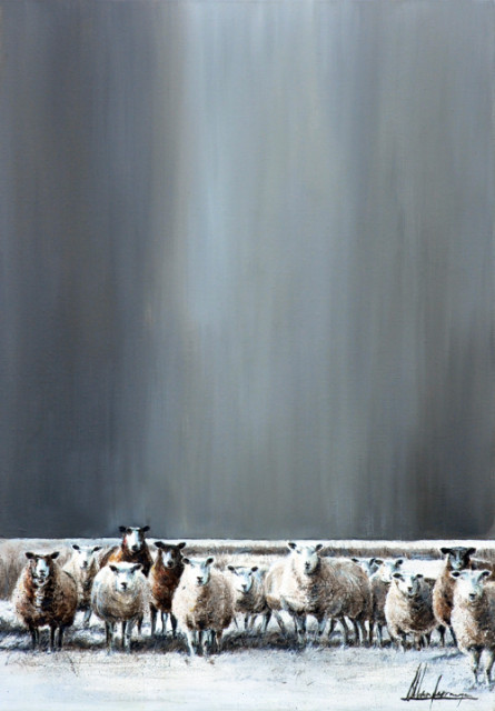 Annabelle Lanfermeijer + Kudde in het veld